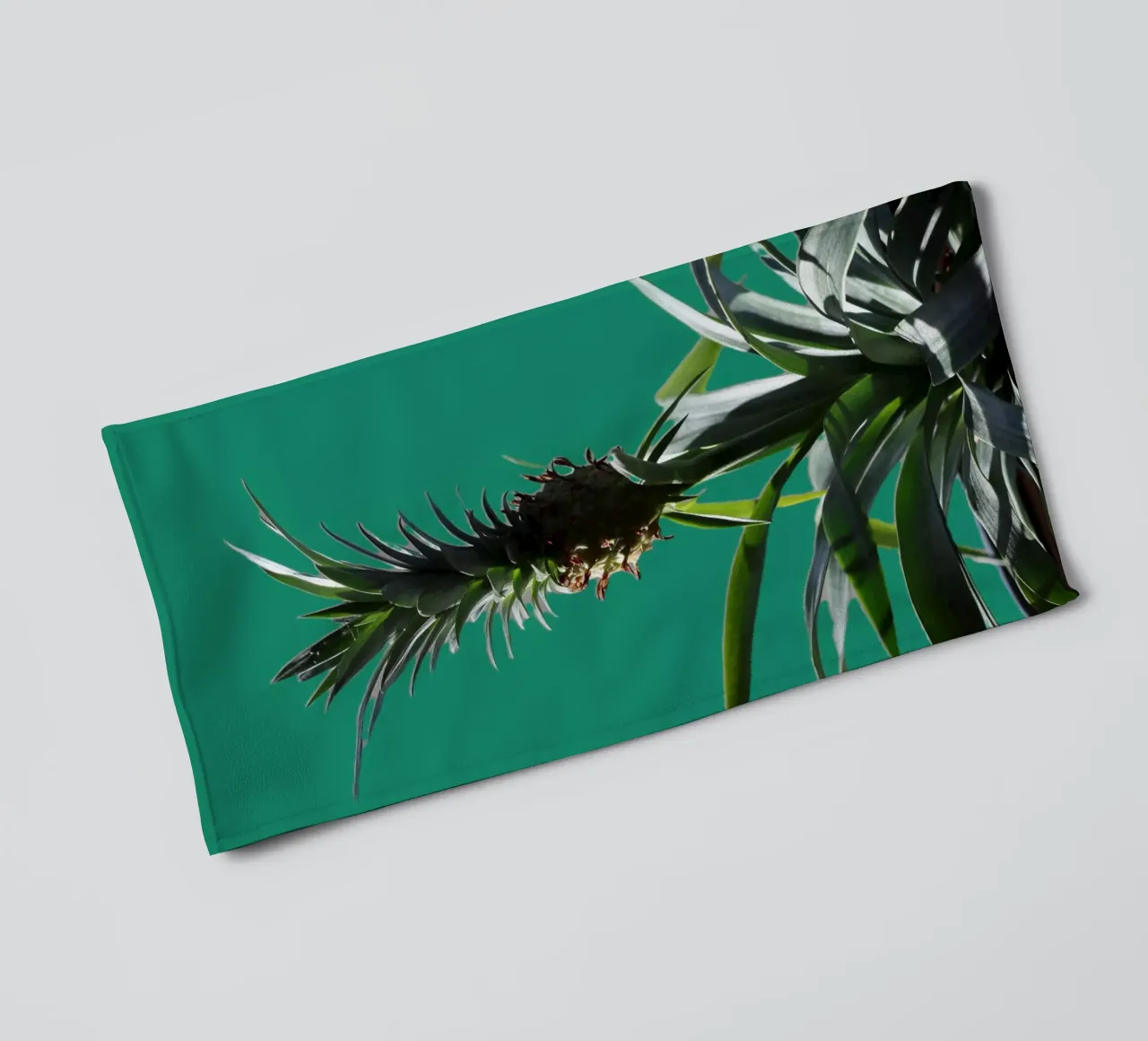 L'ananas asciugamano da bagno da Alexandra Joseph Fotomomente
