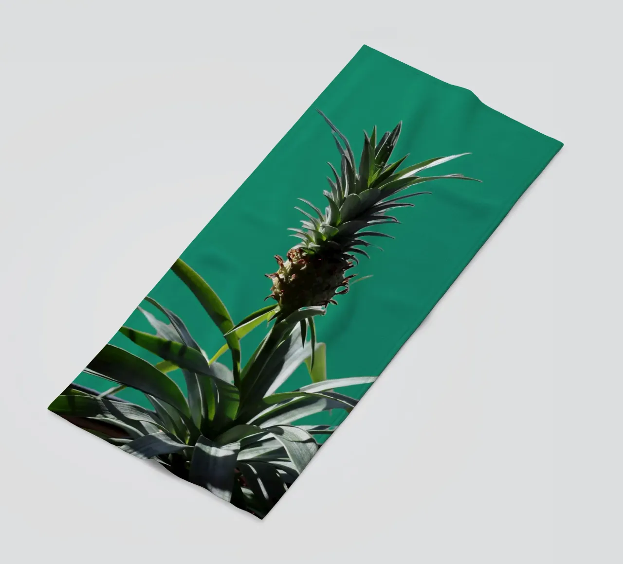 L'ananas telo mare da Alexandra Joseph Fotomomente