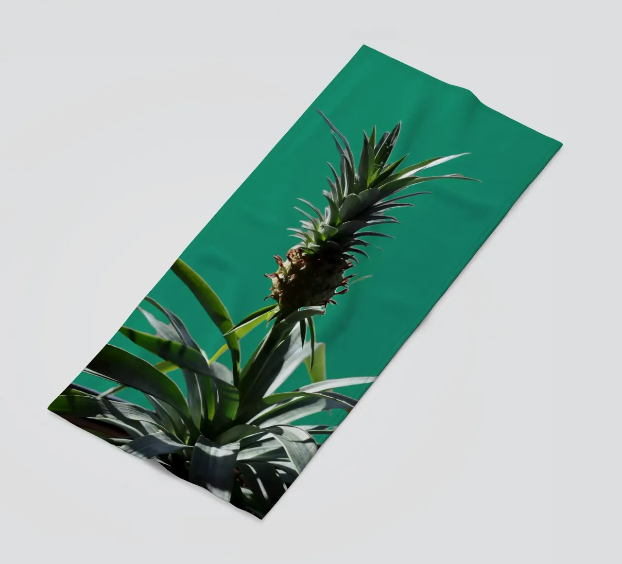 L'ananas telo mare da Alexandra Joseph Fotomomente