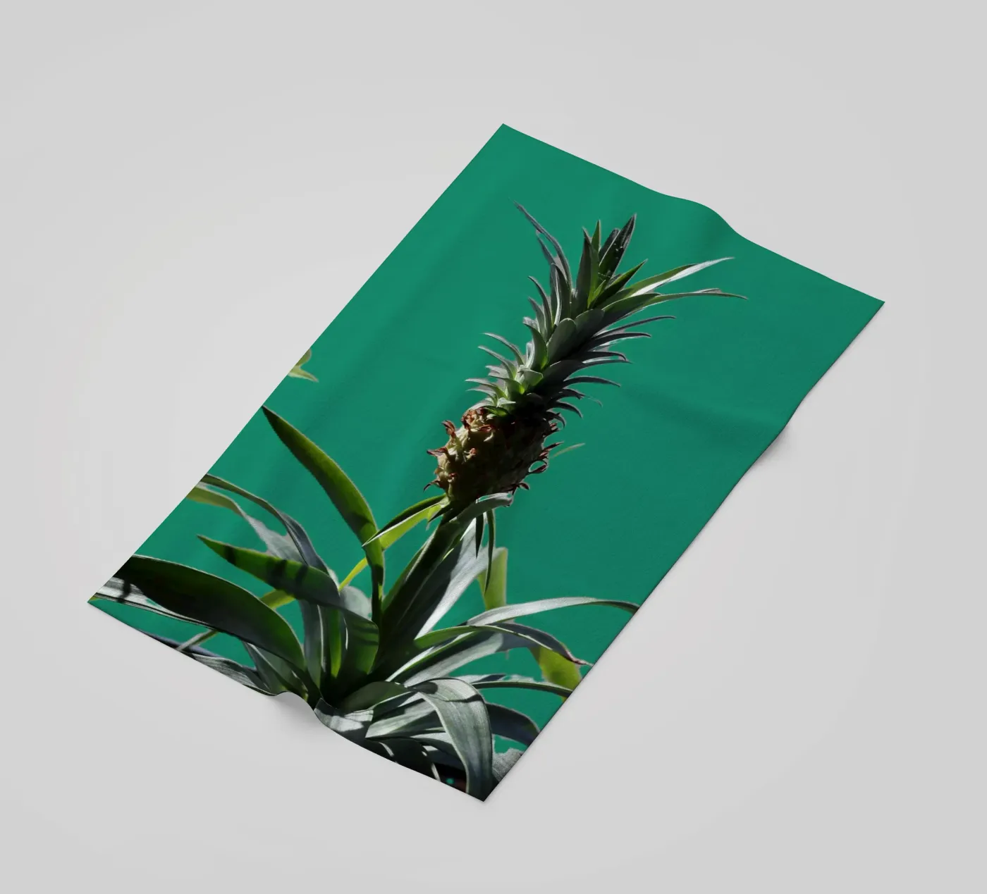 L'ananas telo mare da Alexandra Joseph Fotomomente