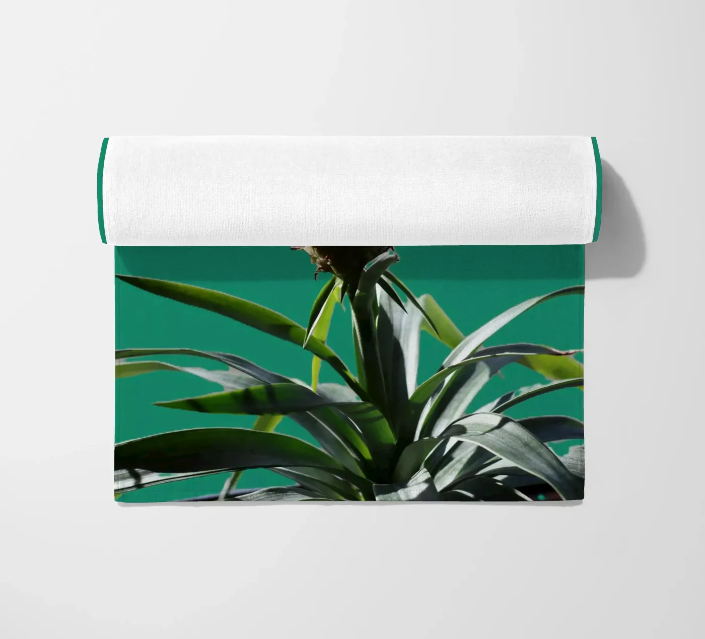 The pineapple telo mare da Alexandra Joseph Fotomomente