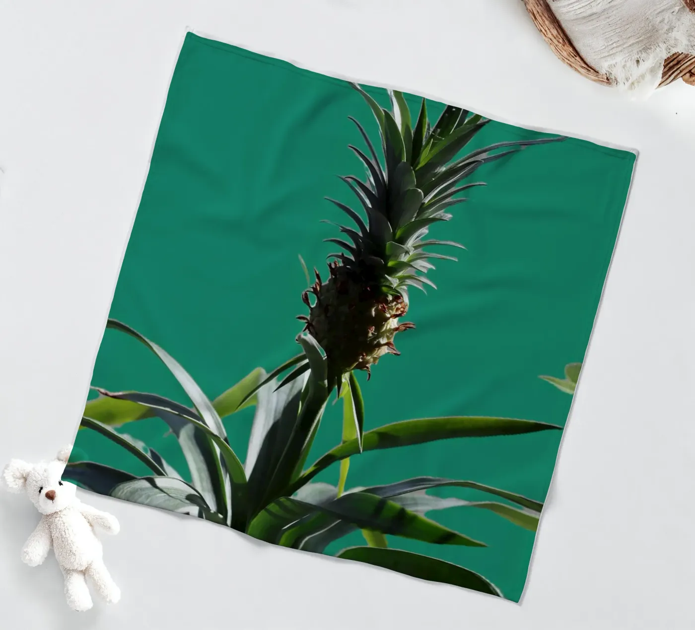 The pineapple fleece blanket by Alexandra Joseph Fotomomente