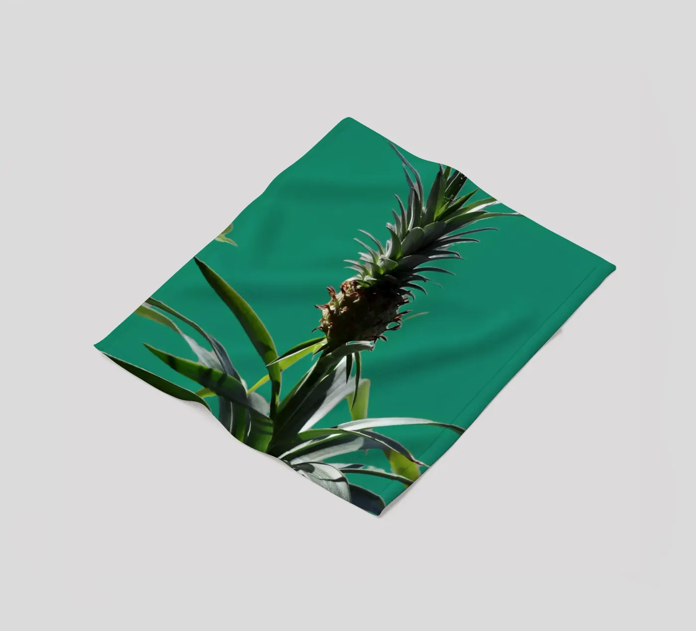 The pineapple fleece blanket by Alexandra Joseph Fotomomente