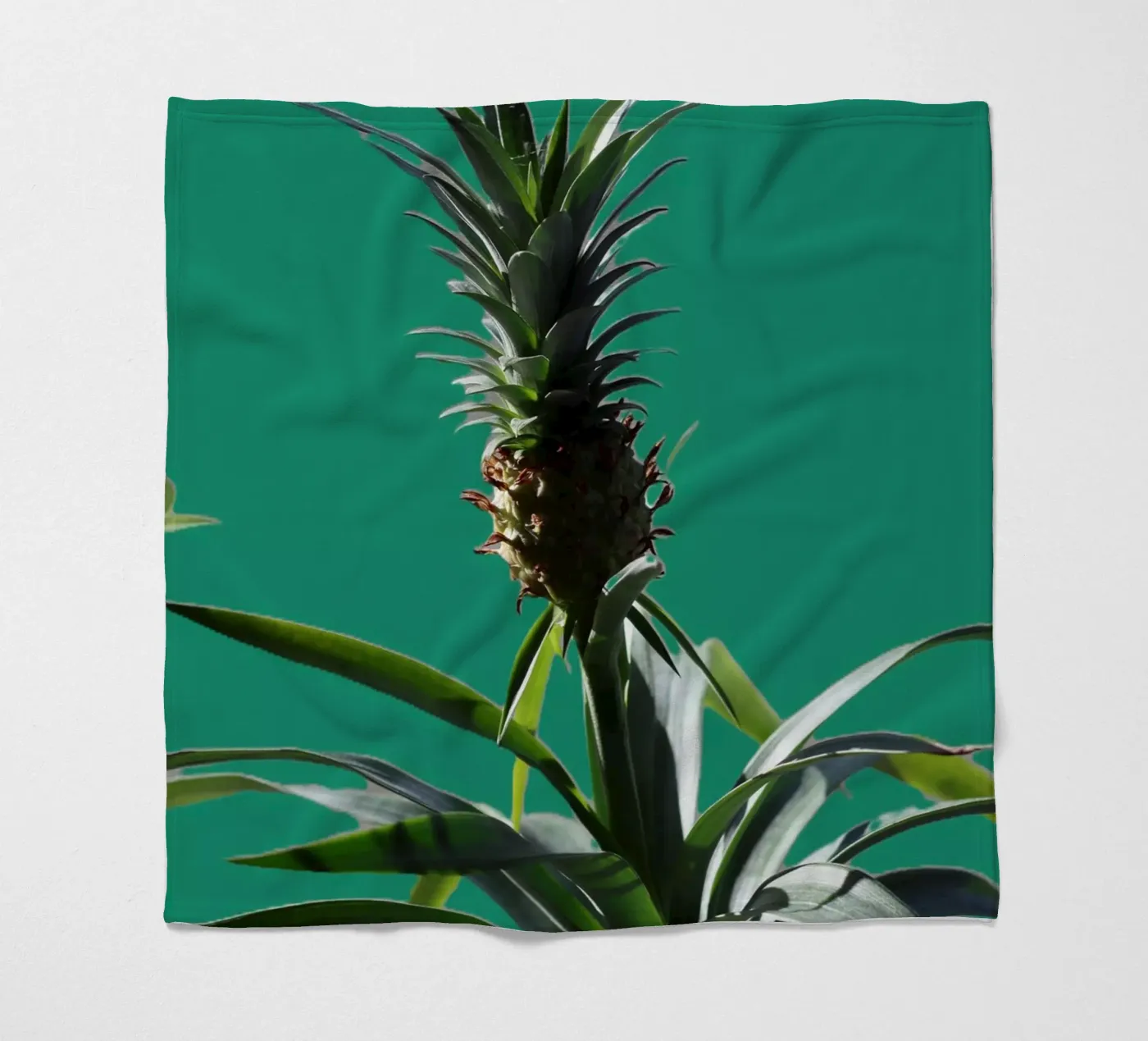 The pineapple fleece blanket by Alexandra Joseph Fotomomente