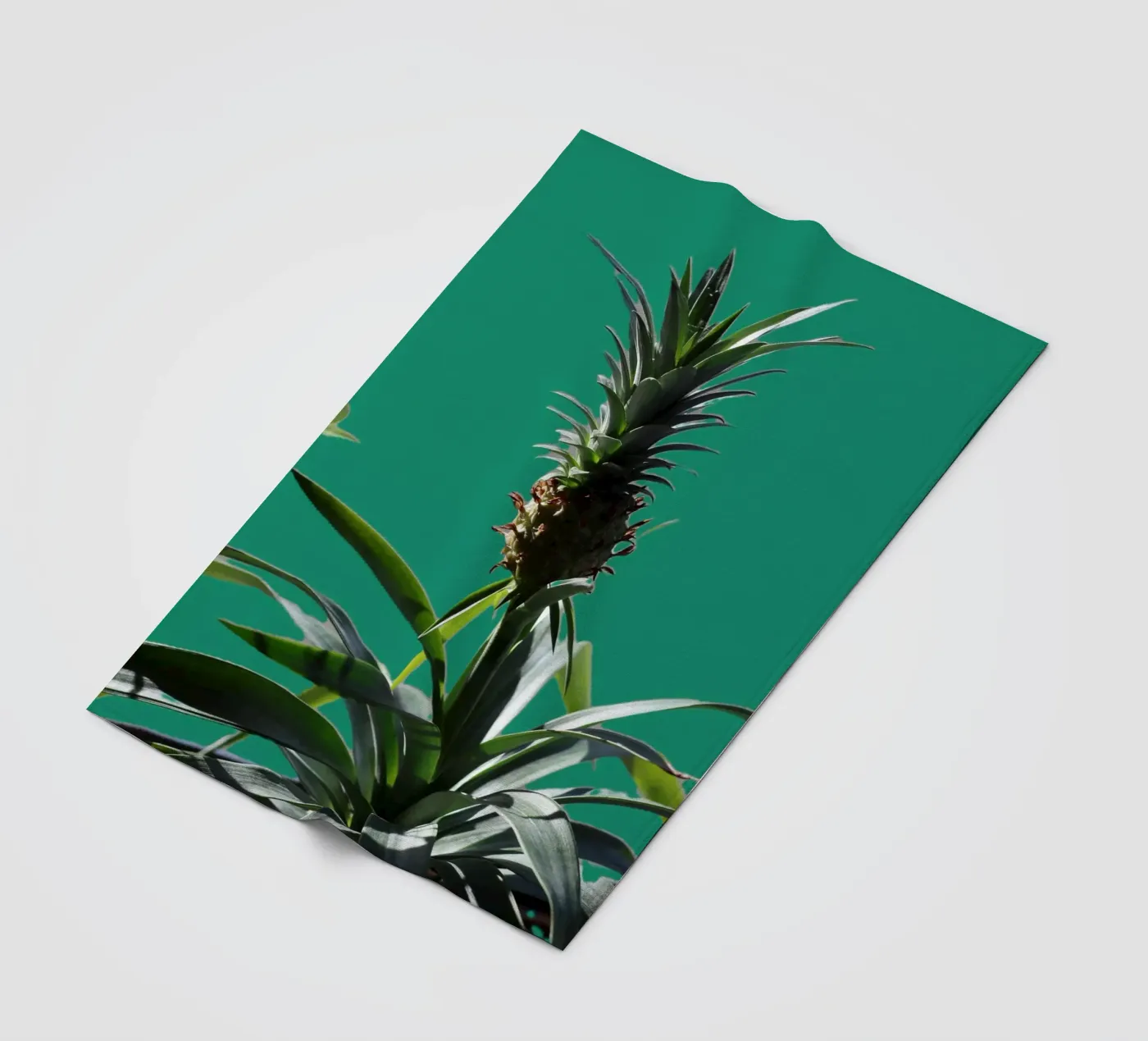 The pineapple fleece blanket by Alexandra Joseph Fotomomente