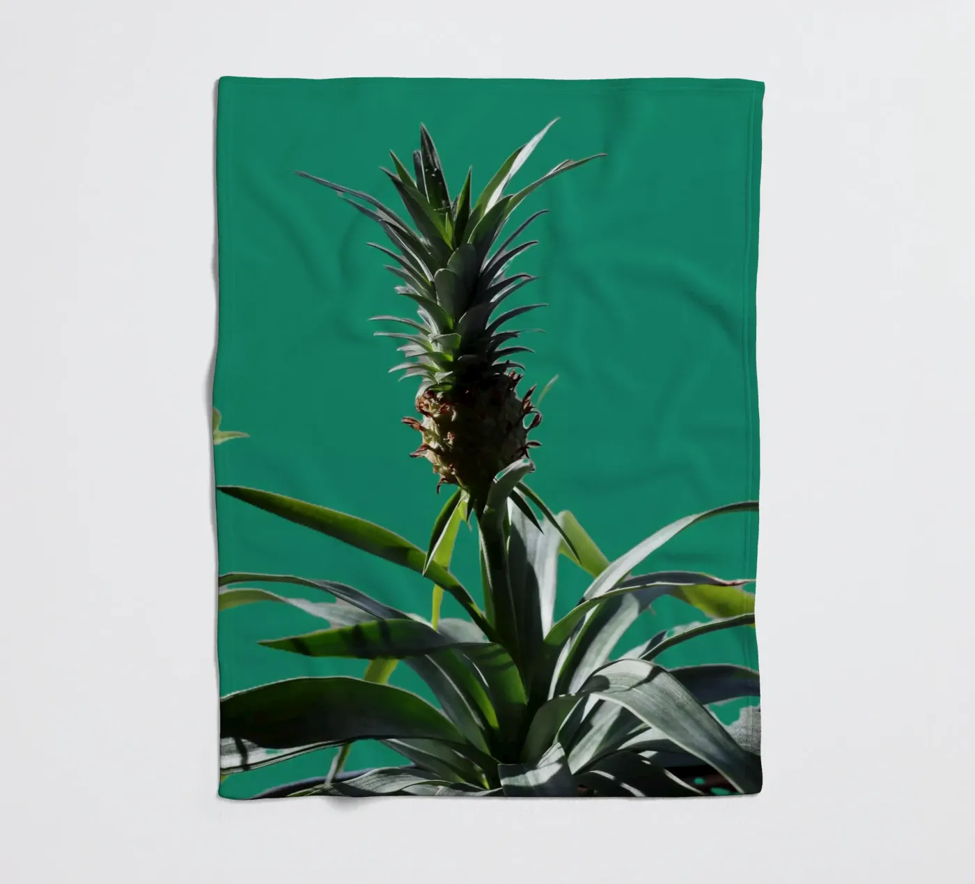 The pineapple fleece blanket by Alexandra Joseph Fotomomente