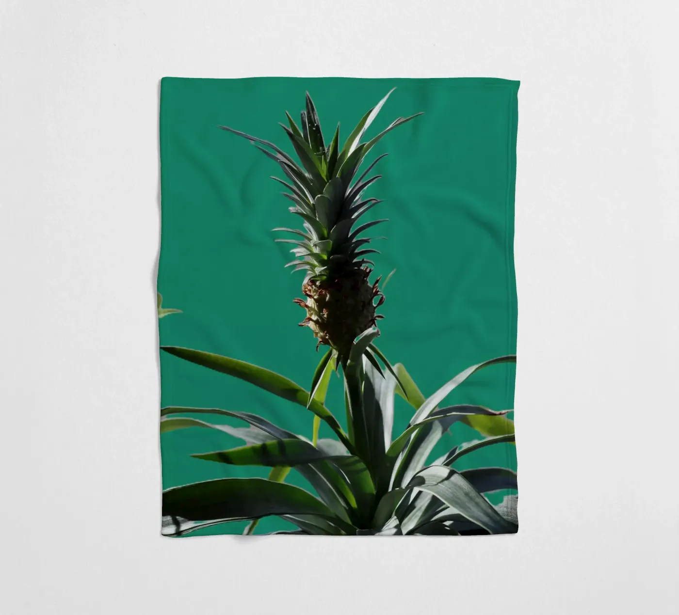 The pineapple fleece blanket by Alexandra Joseph Fotomomente