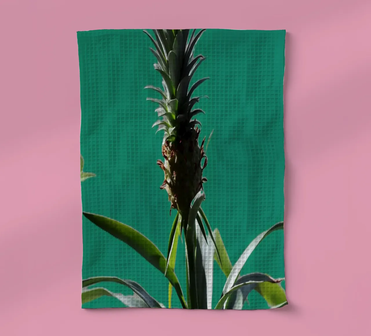 L'ananas canovaccio da cucina da Alexandra Joseph Fotomomente