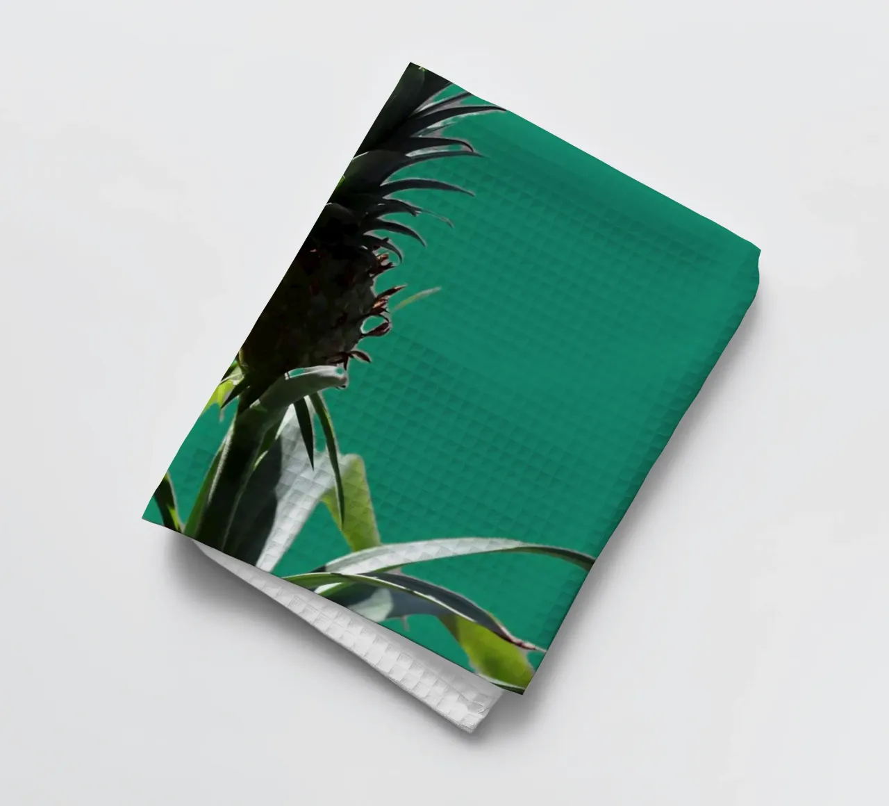 L'ananas canovaccio da cucina da Alexandra Joseph Fotomomente
