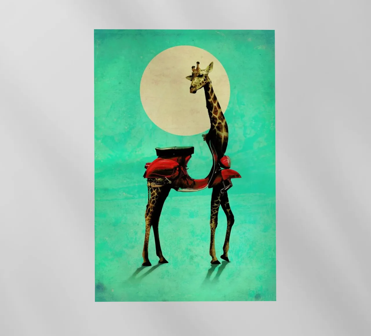 Giraffe pellicola backlit da Ali Gulec