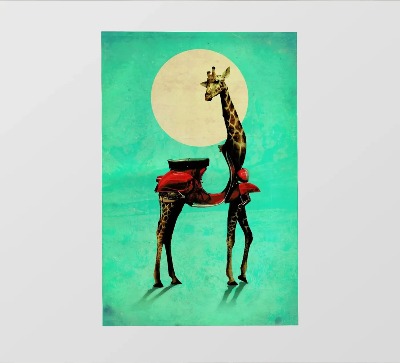 Giraffe backlit folie van Ali Gulec