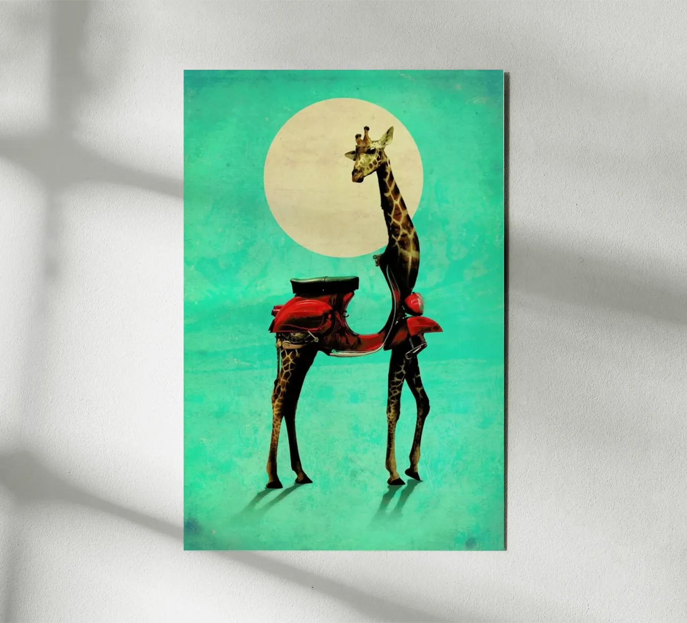 Giraffe alluminio dibond da Ali Gulec