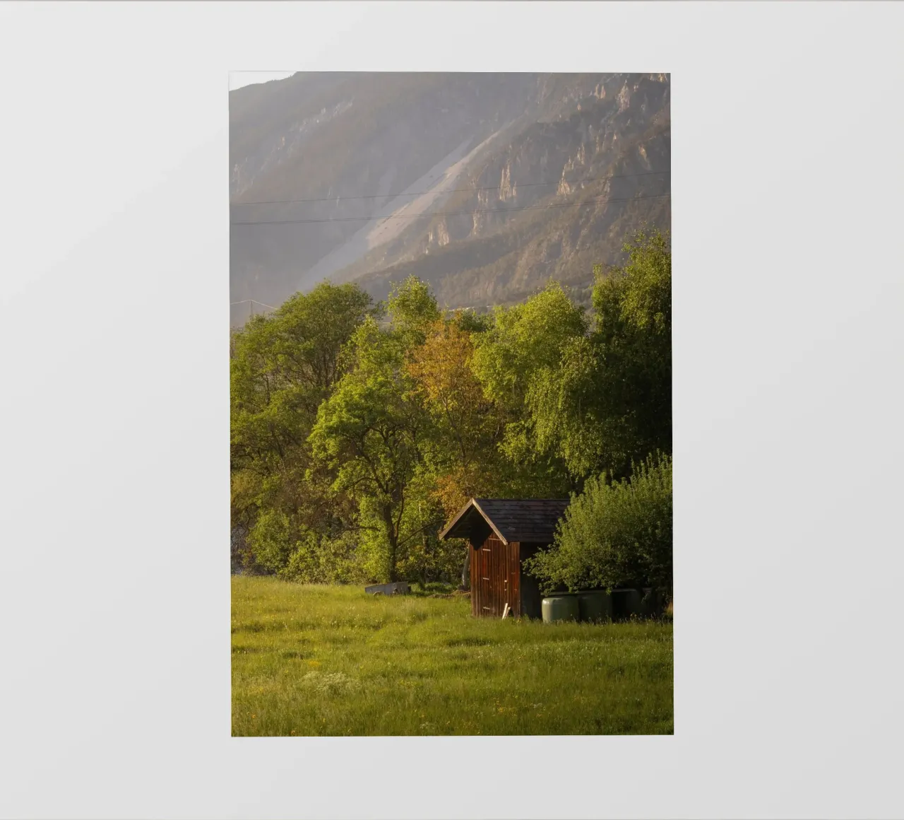 house covered by forest pellicola backlit da comura