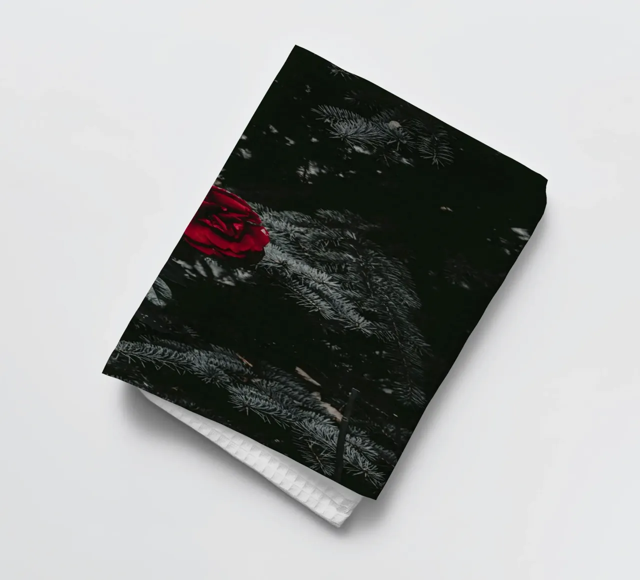 red rose in black shade canovaccio da cucina da comura