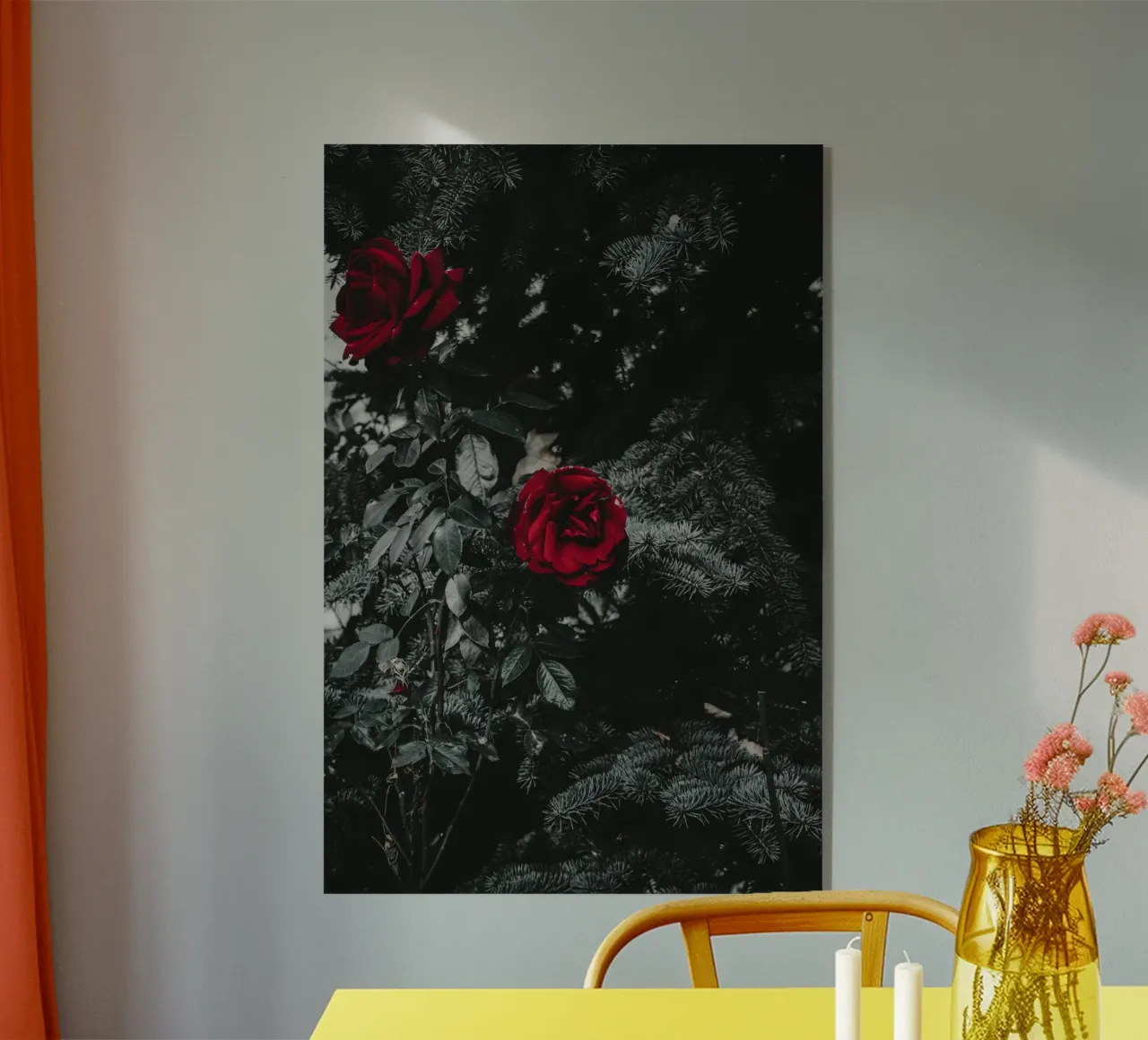 red rose in black shade plexiglass da comura