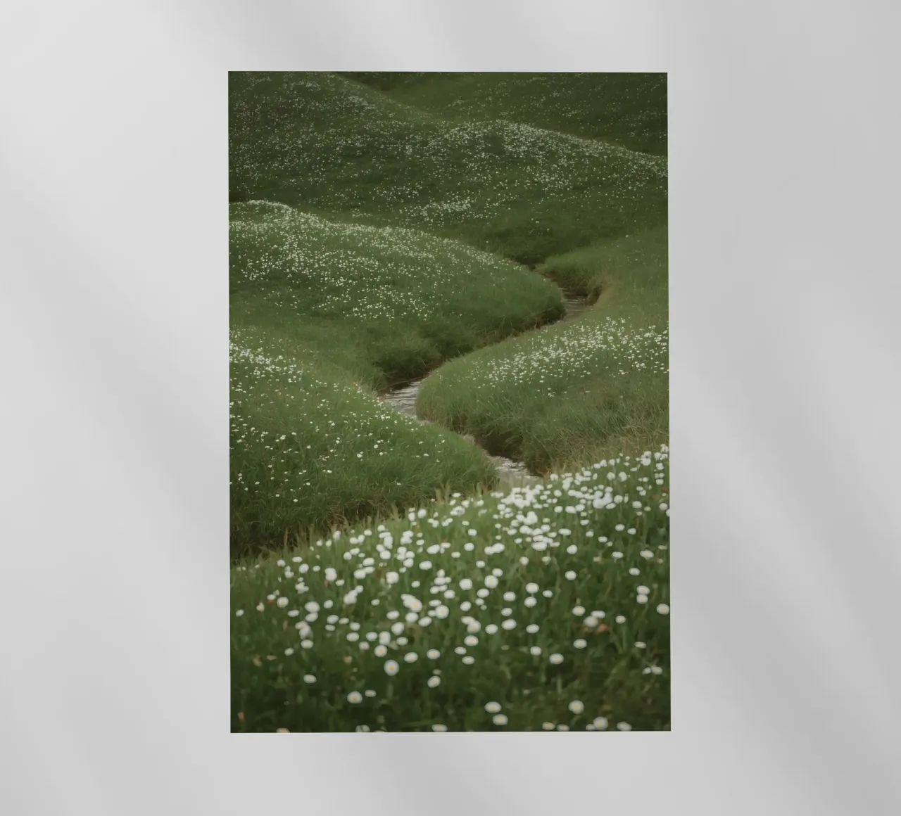 Verdi colline ondulate con ruscello e fiori selvatici pellicola backlit da DesignDoodle
