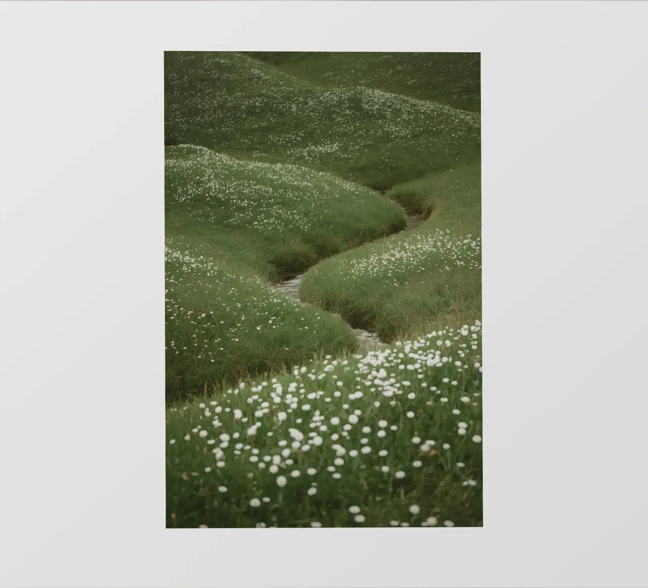Verdi colline ondulate con ruscello e fiori selvatici pellicola backlit da DesignDoodle