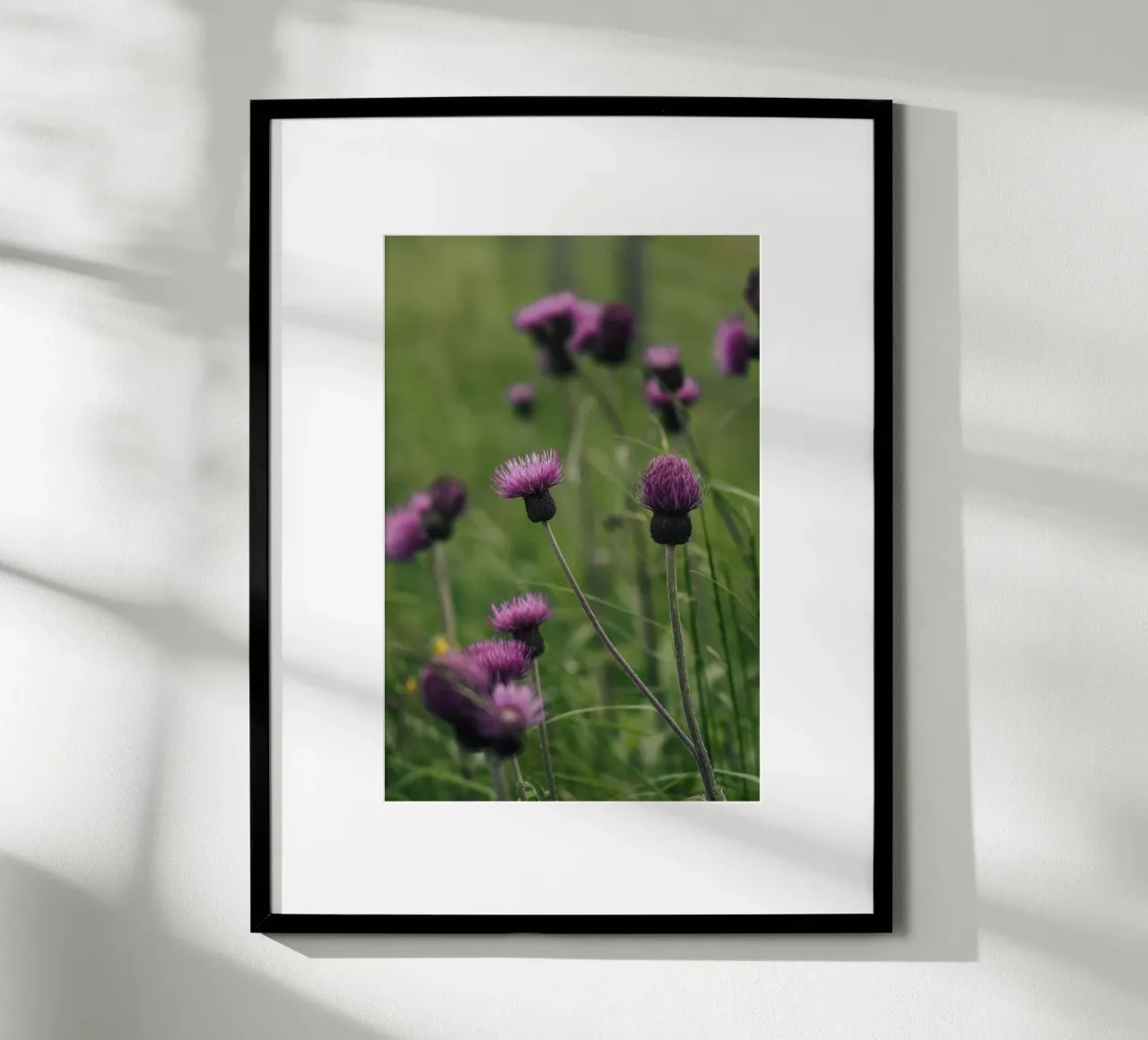National Flower Hahnemühle von Lena Stamm