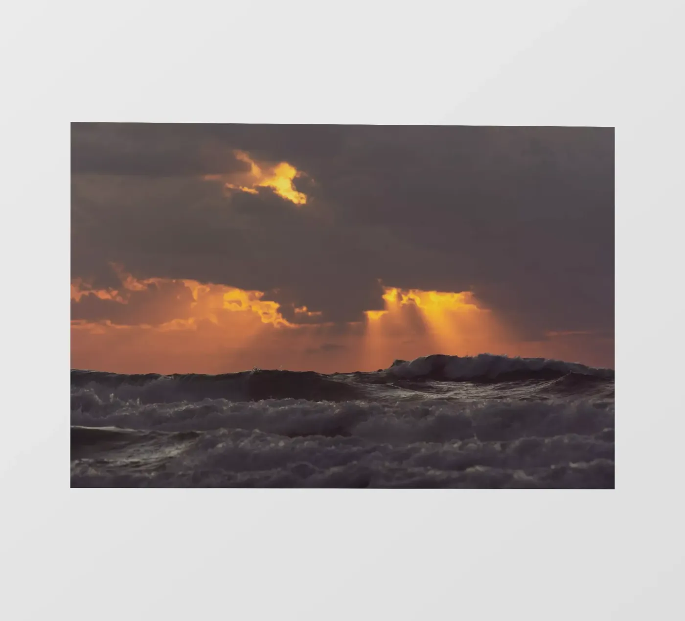 Dialogo pellicola backlit da Tal Paz-Fridman