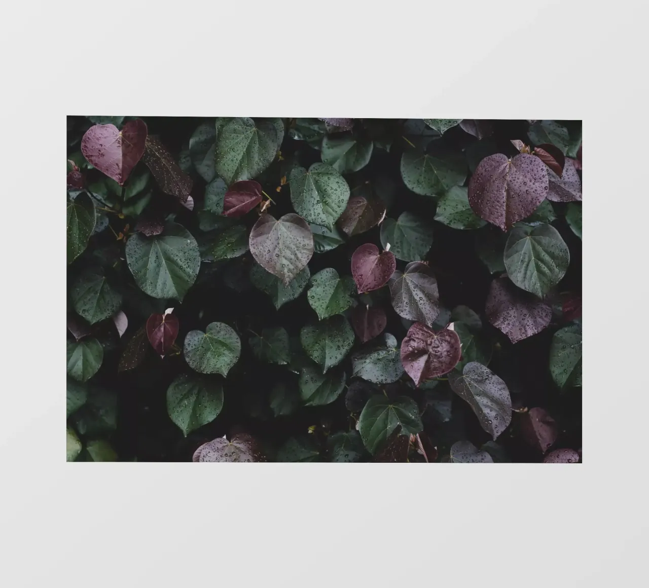 Foglie d'inverno I telo in pvc da Tal Paz-Fridman