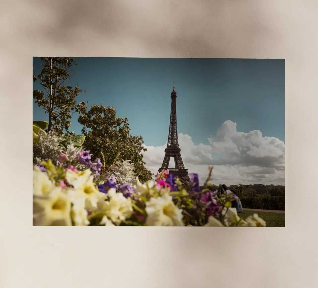 Blumiges Paris pellicola backlit da Flo Klein