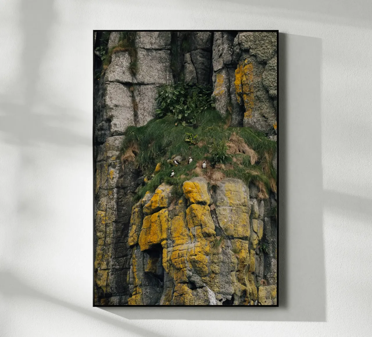 Puffin Watch plexiglass da Lena Stamm