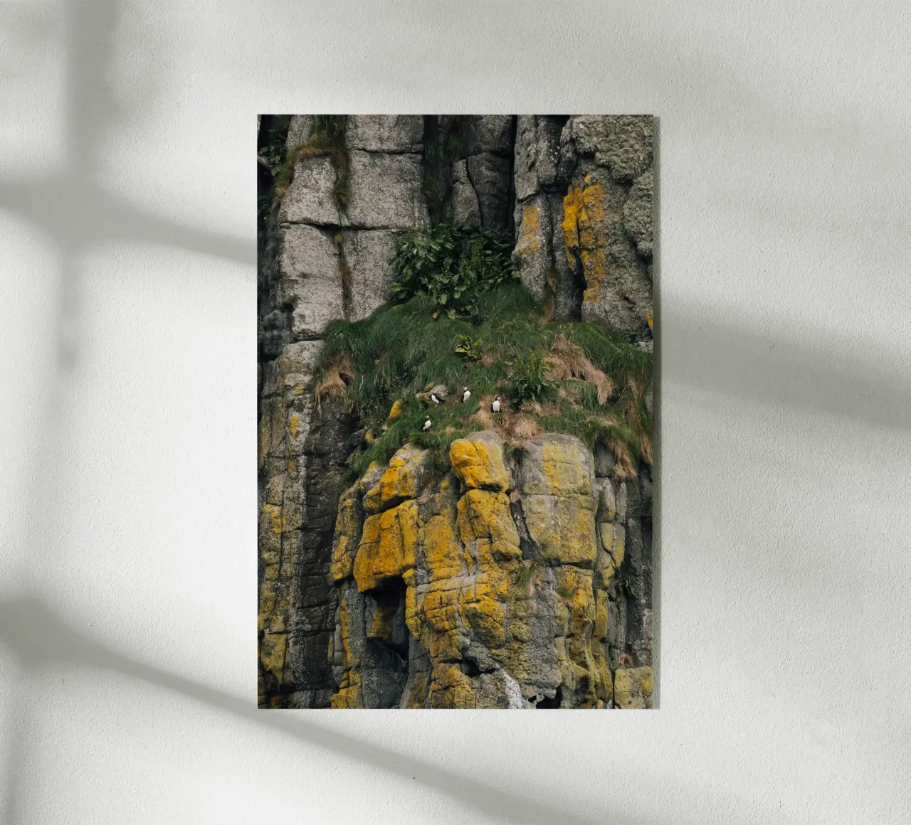 Puffin Watch plexiglass da Lena Stamm