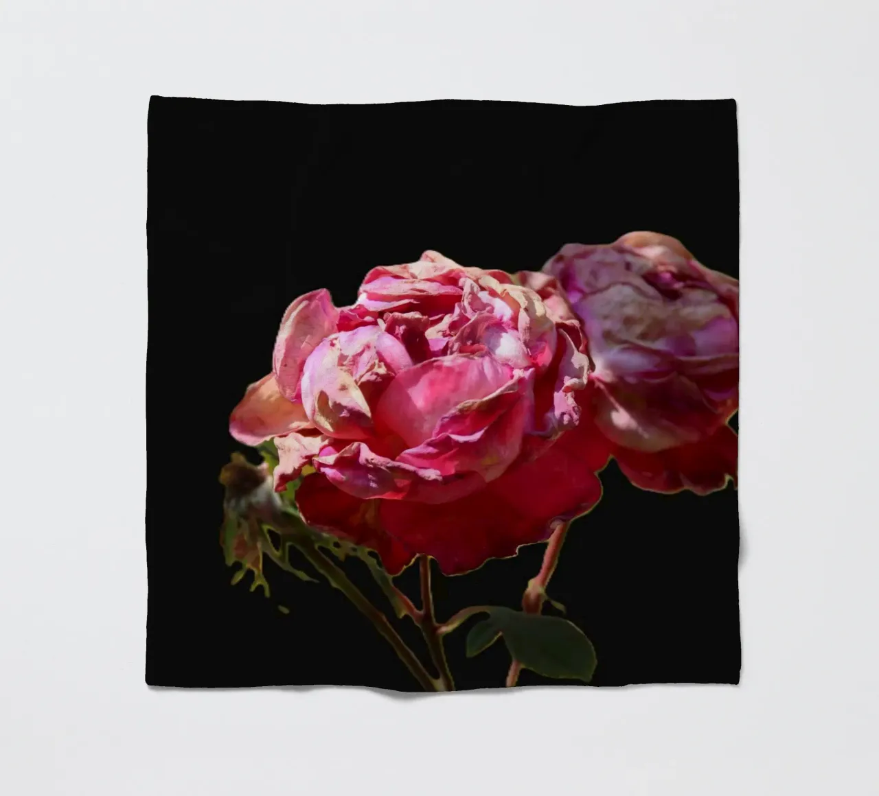 Pink Roses fleece blanket by Alexandra Joseph Fotomomente