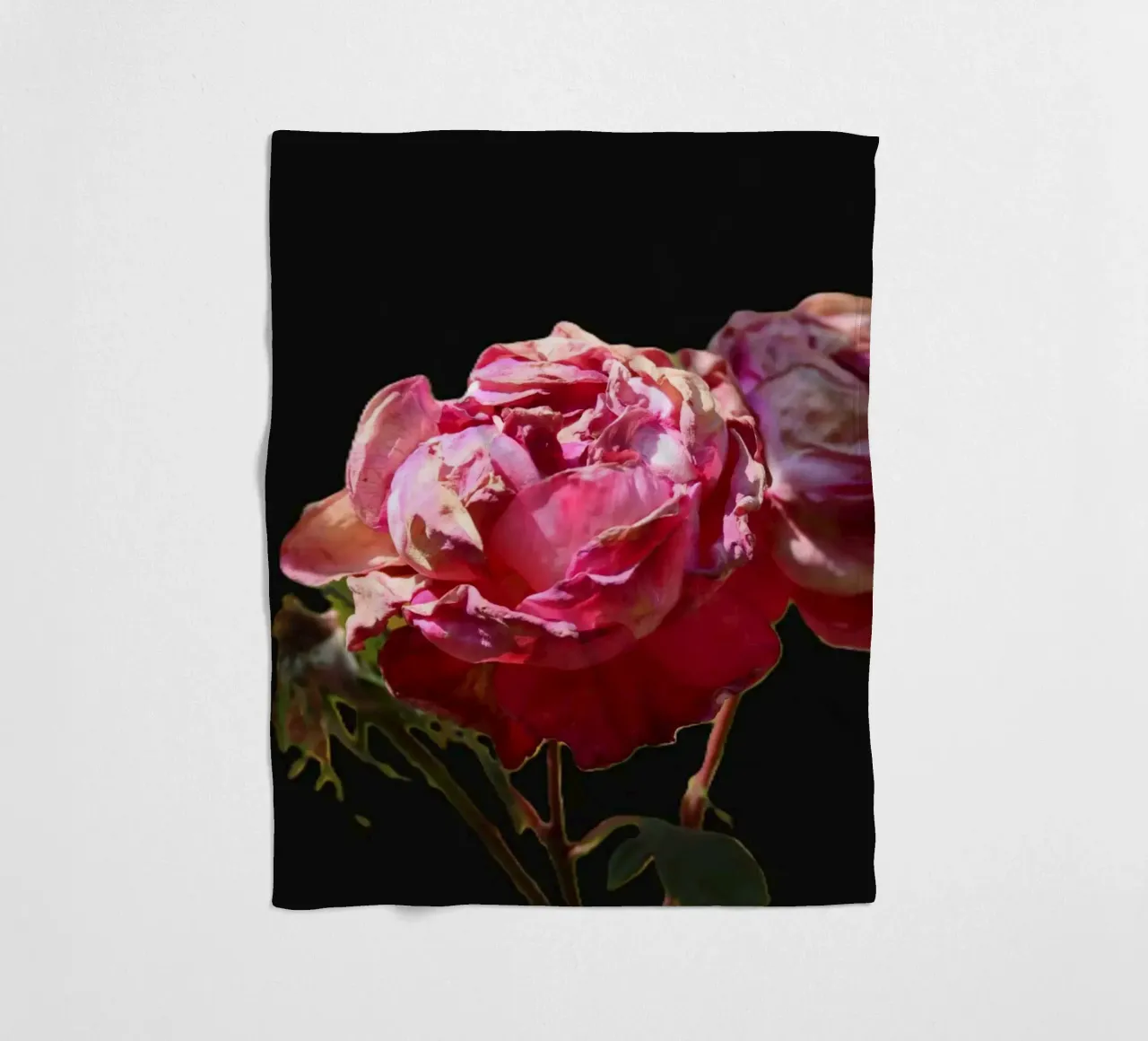 Pink Roses fleece blanket by Alexandra Joseph Fotomomente
