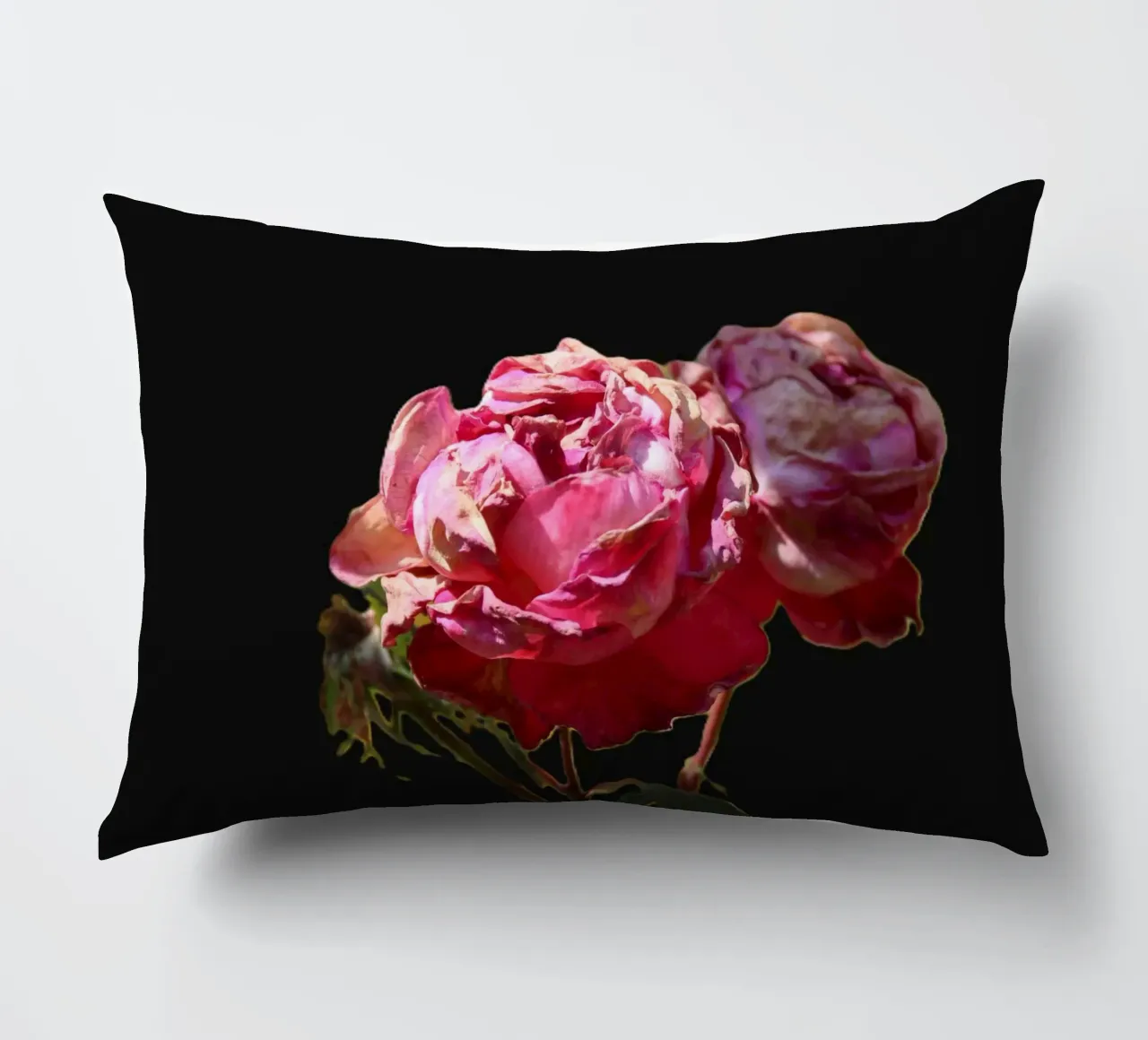 Pink Roses decorative cushion by Alexandra Joseph Fotomomente