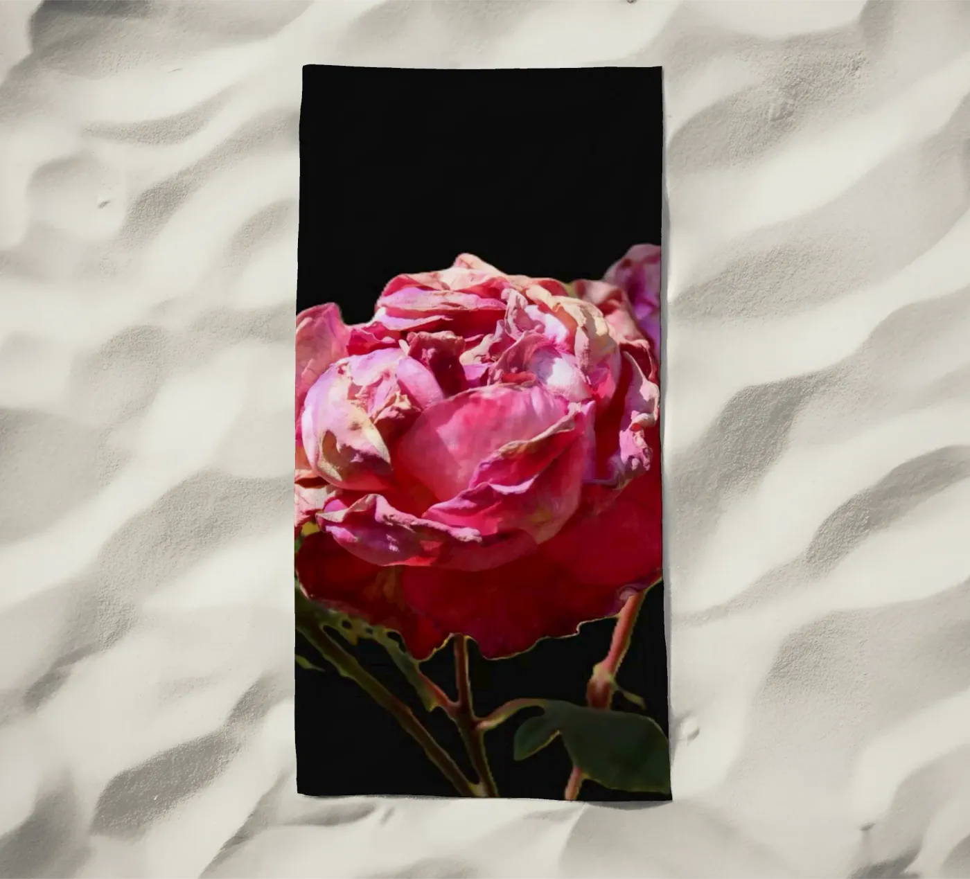 Pink Roses telo mare da Alexandra Joseph Fotomomente