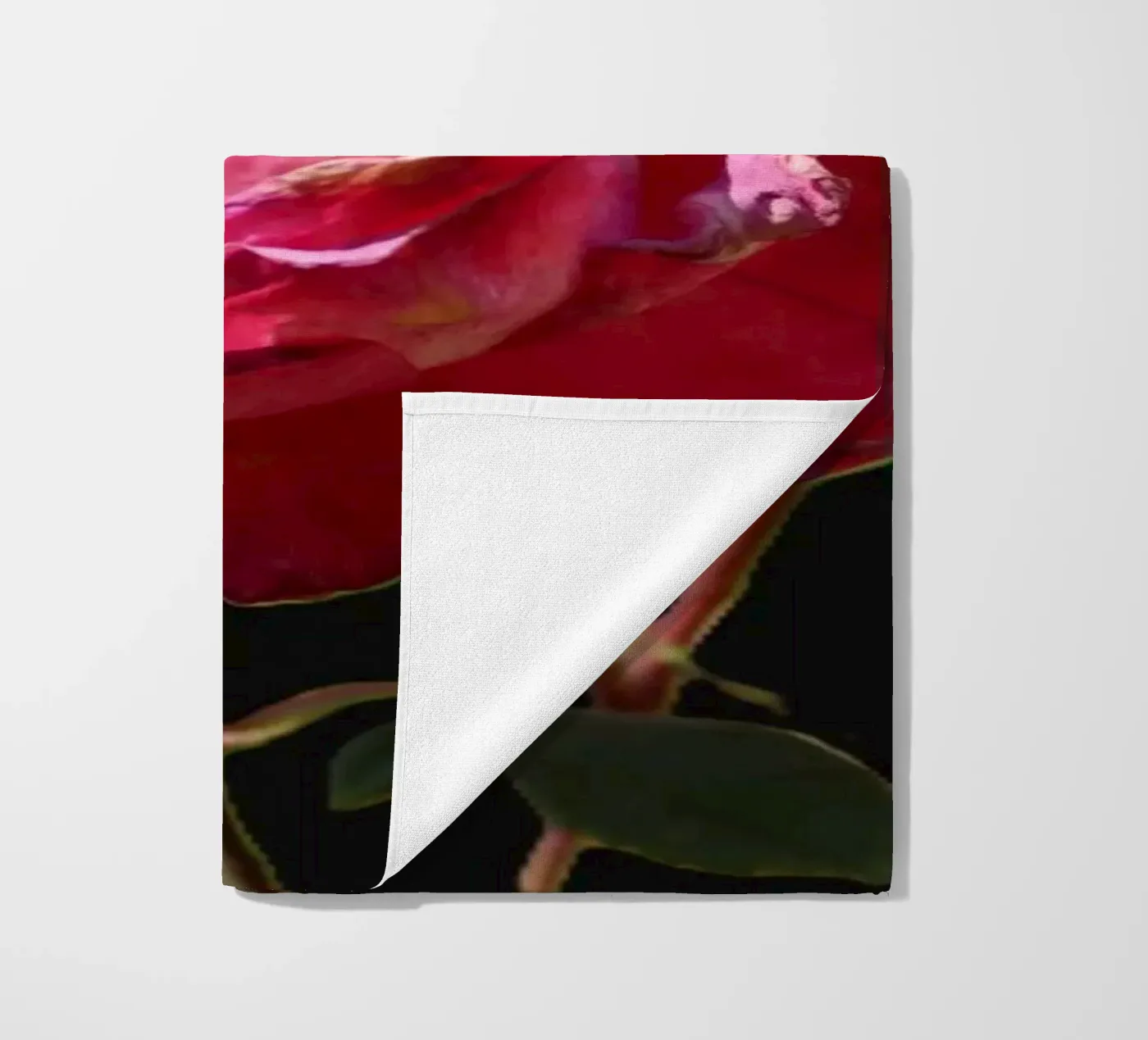 Pink Roses telo mare da Alexandra Joseph Fotomomente