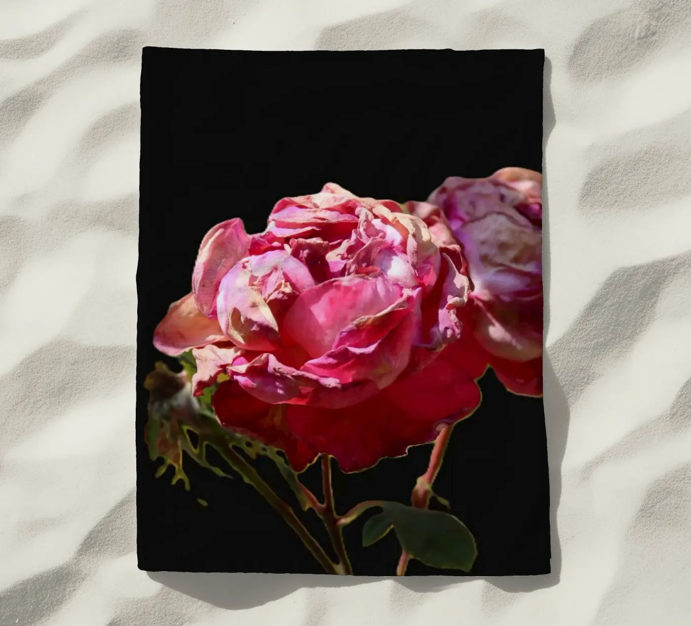 Pink Roses telo mare da Alexandra Joseph Fotomomente