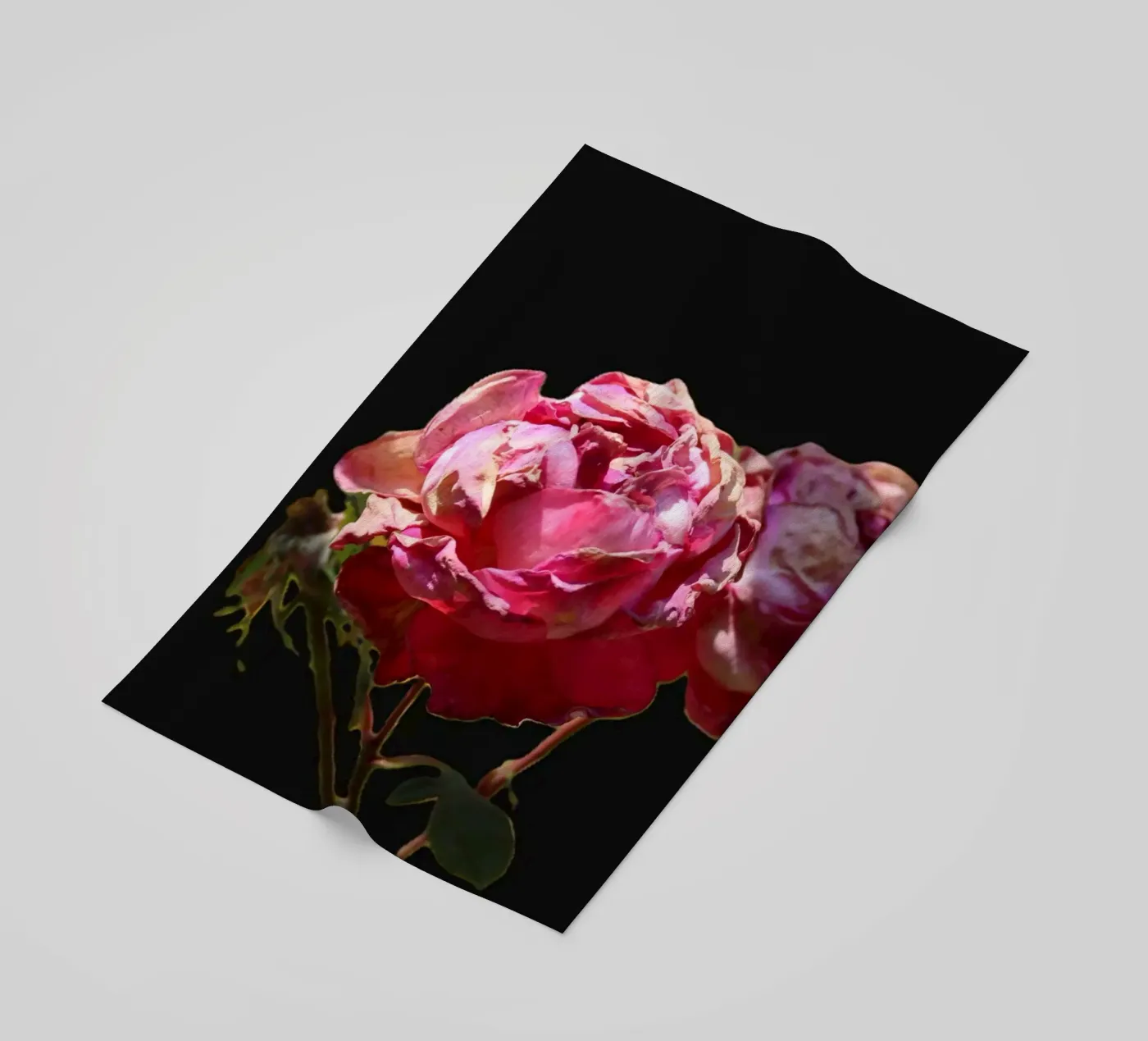 Pink Roses telo mare da Alexandra Joseph Fotomomente