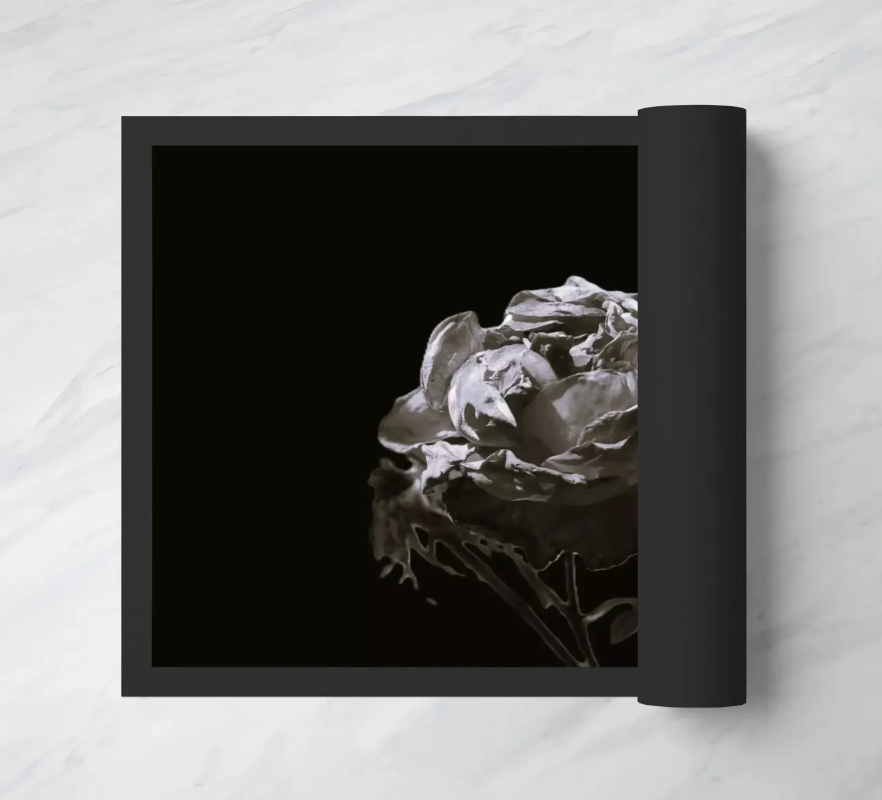 Rose bianche e nere zerbino da Alexandra Joseph Fotomomente