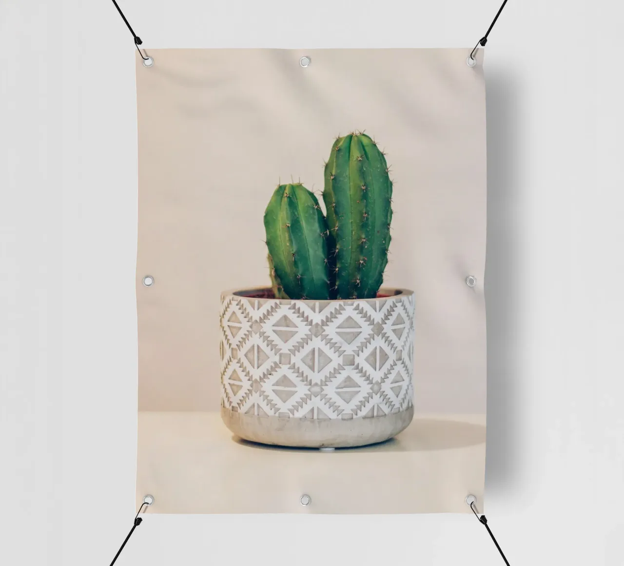 cactus on vase telo in pvc da comura