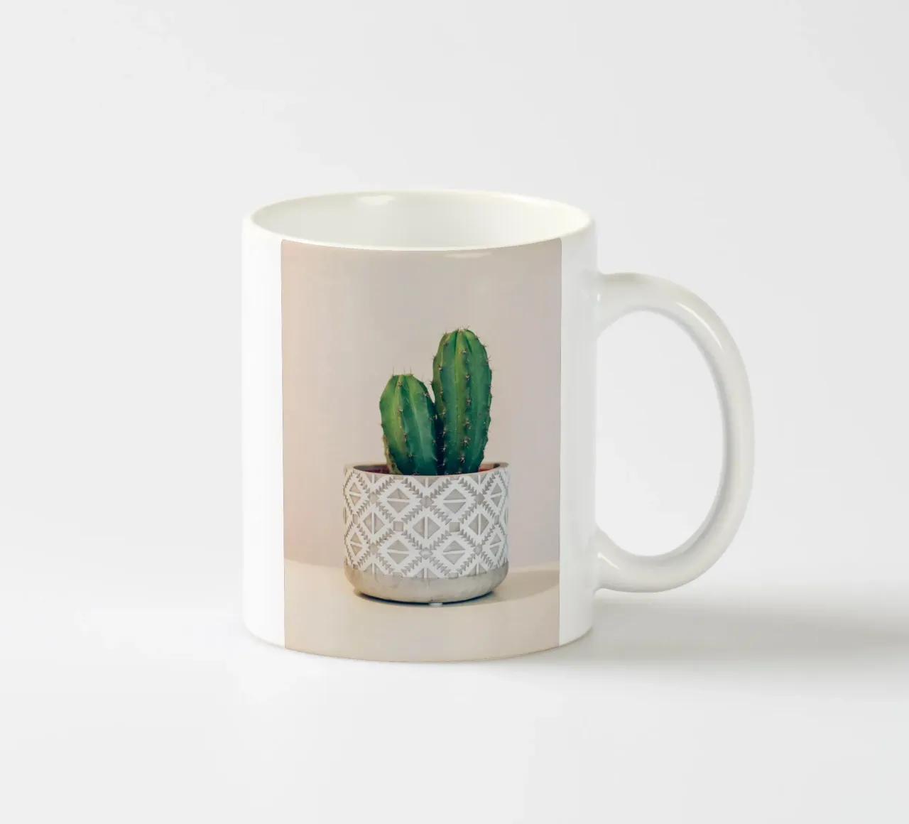 cactus on vase tazza in ceramica da comura