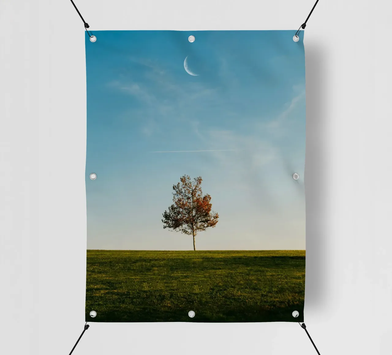 alone tree and the moon telo in pvc da comura
