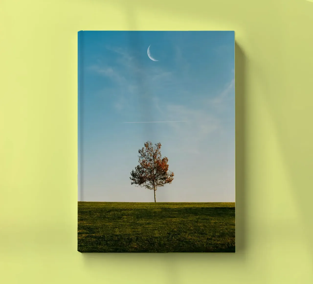 alone tree and the moon notebook by comura
