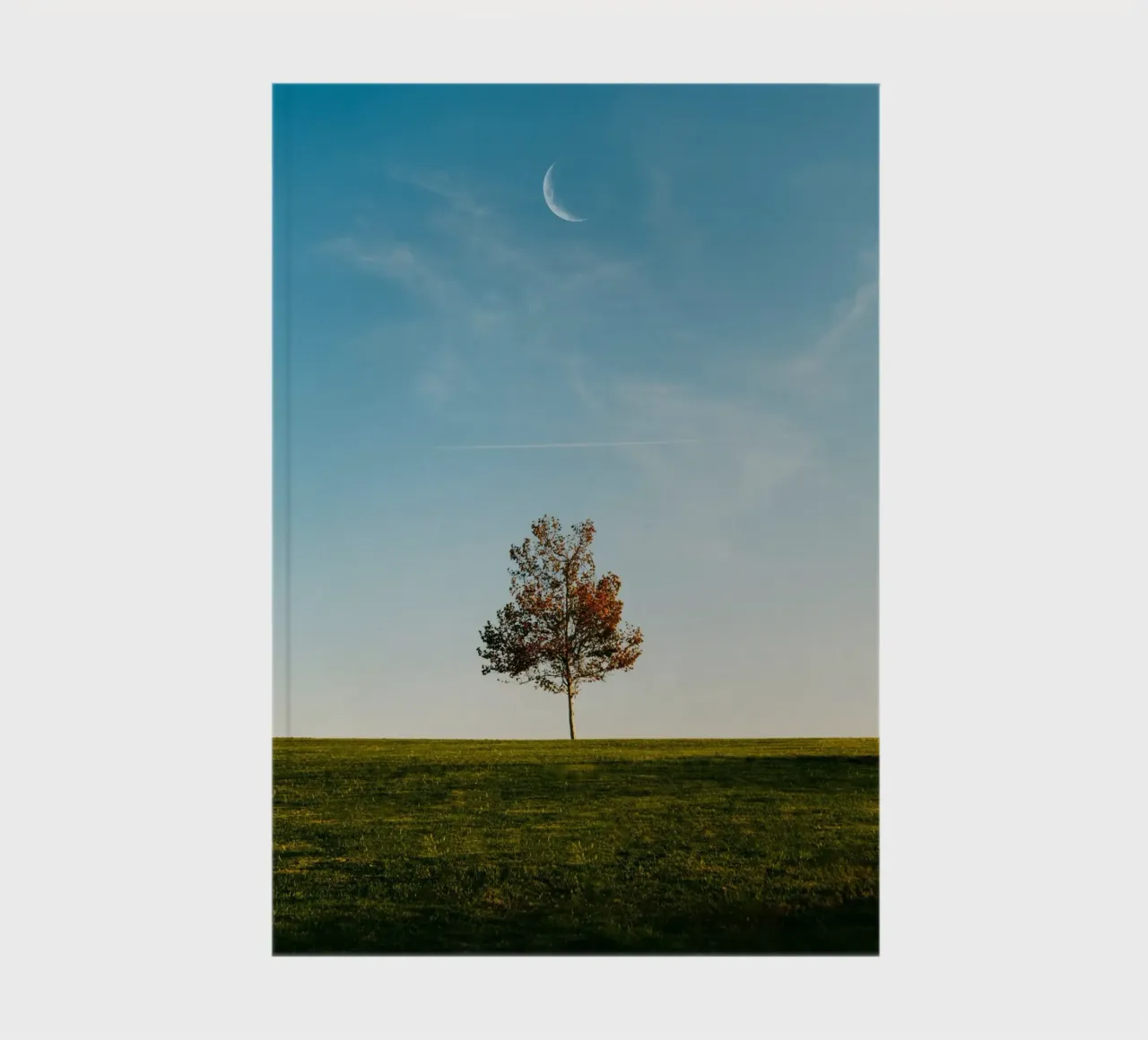 alone tree and the moon notebook by comura