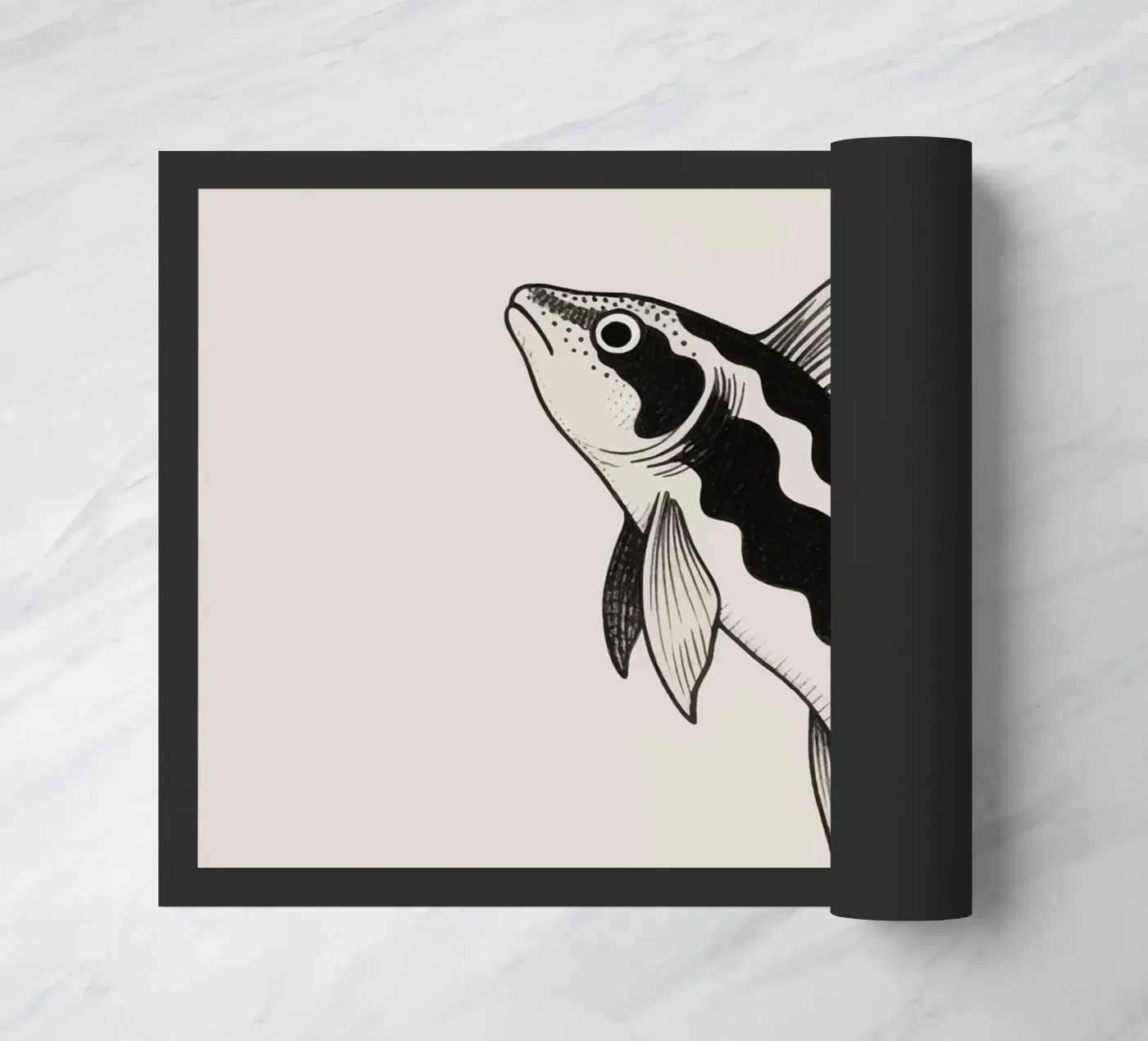 Black Fish zerbino da knowledge