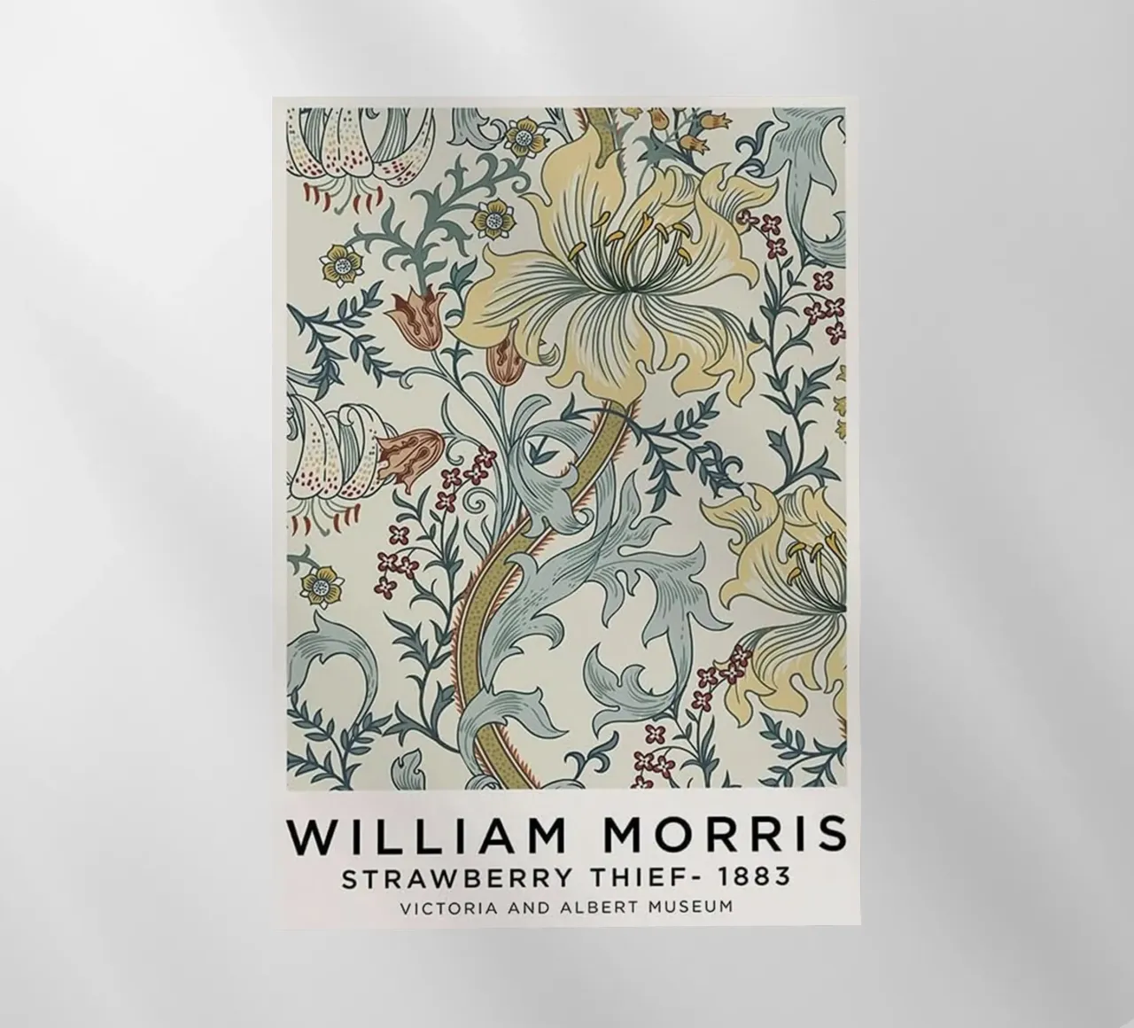 Ladro di fragole - 1883 pellicola backlit da The Bakulans