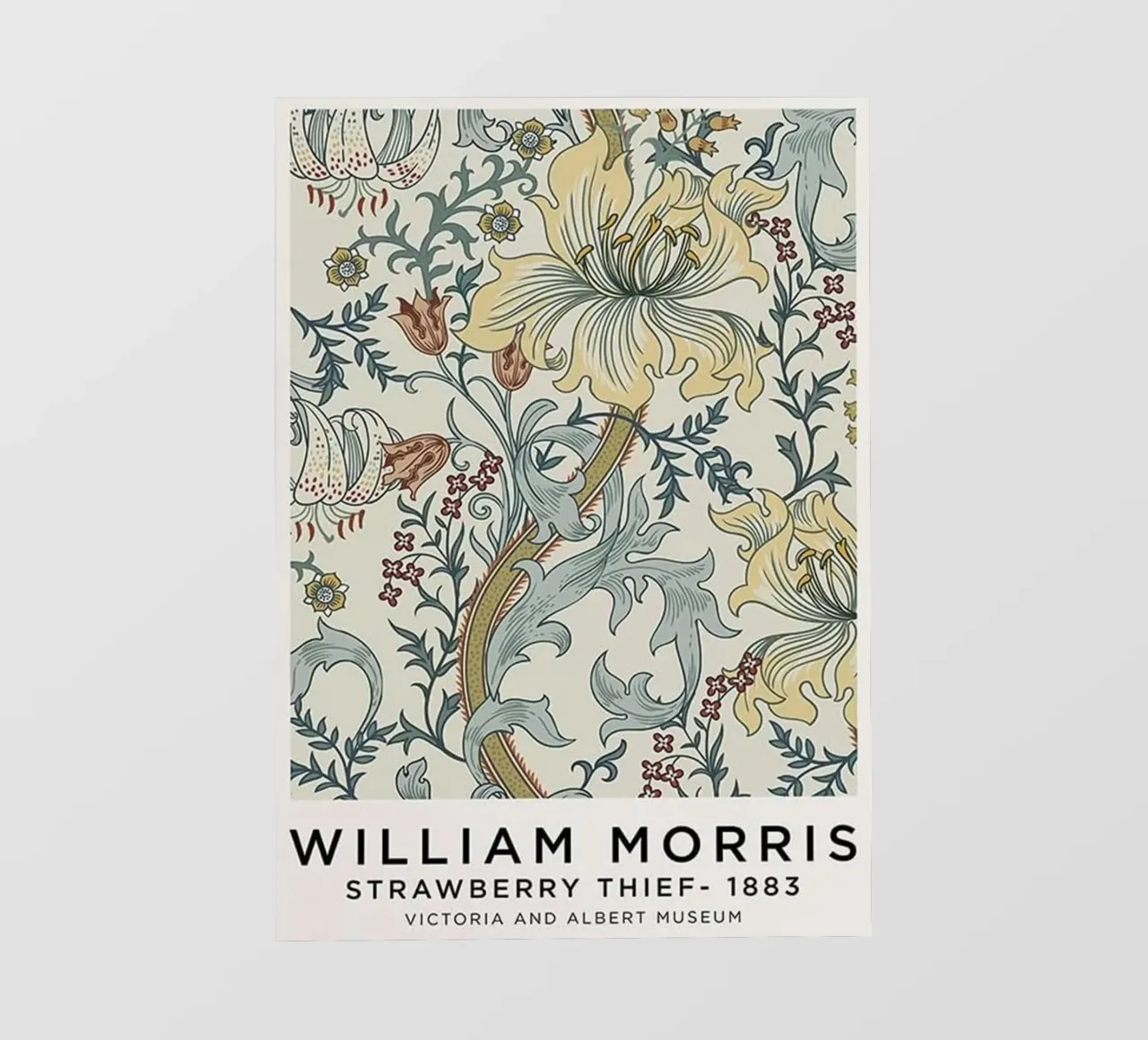 Ladro di fragole - 1883 pellicola backlit da The Bakulans