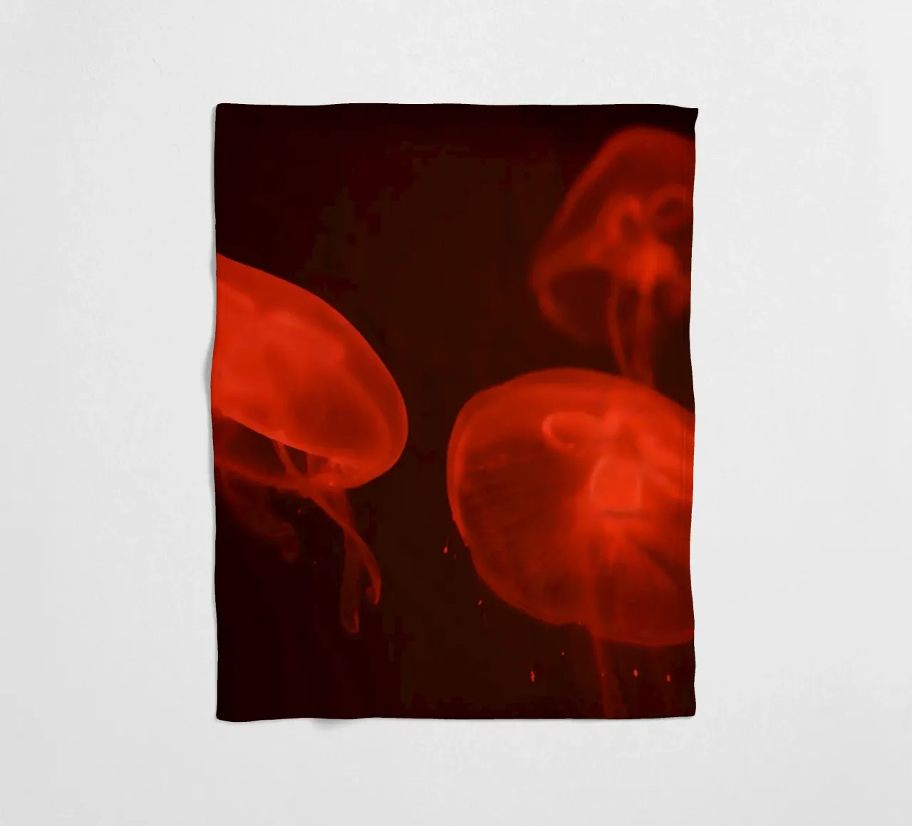 All'acquario #4 coperta in pile da Tal Paz-Fridman
