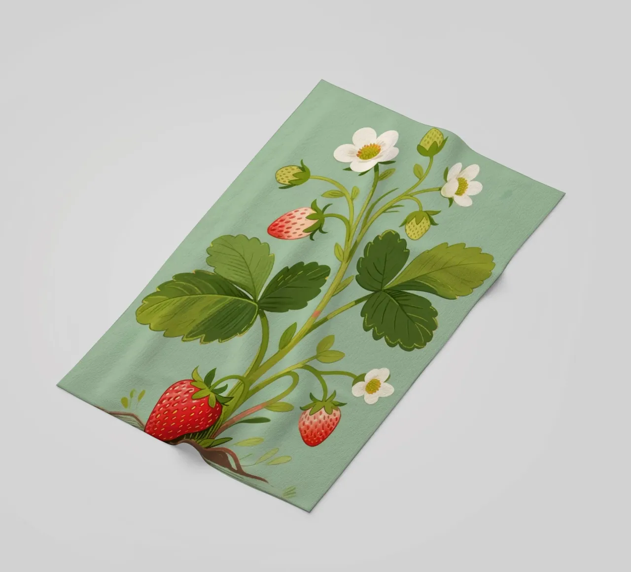 Pianta di fragole telo mare da knowledge