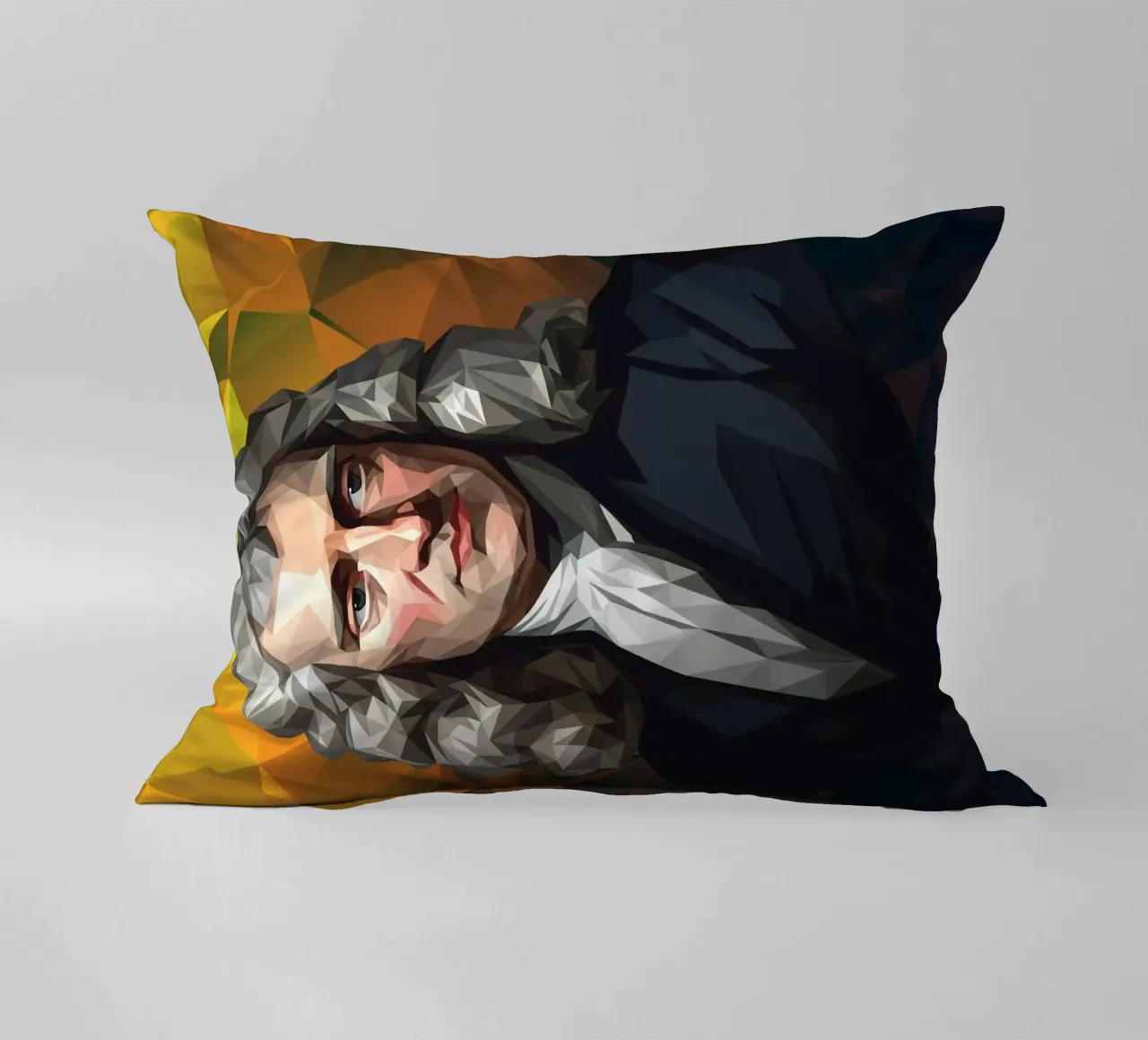 Ritratto di Isaac Newton Lowpoly cuscino da Low Profile