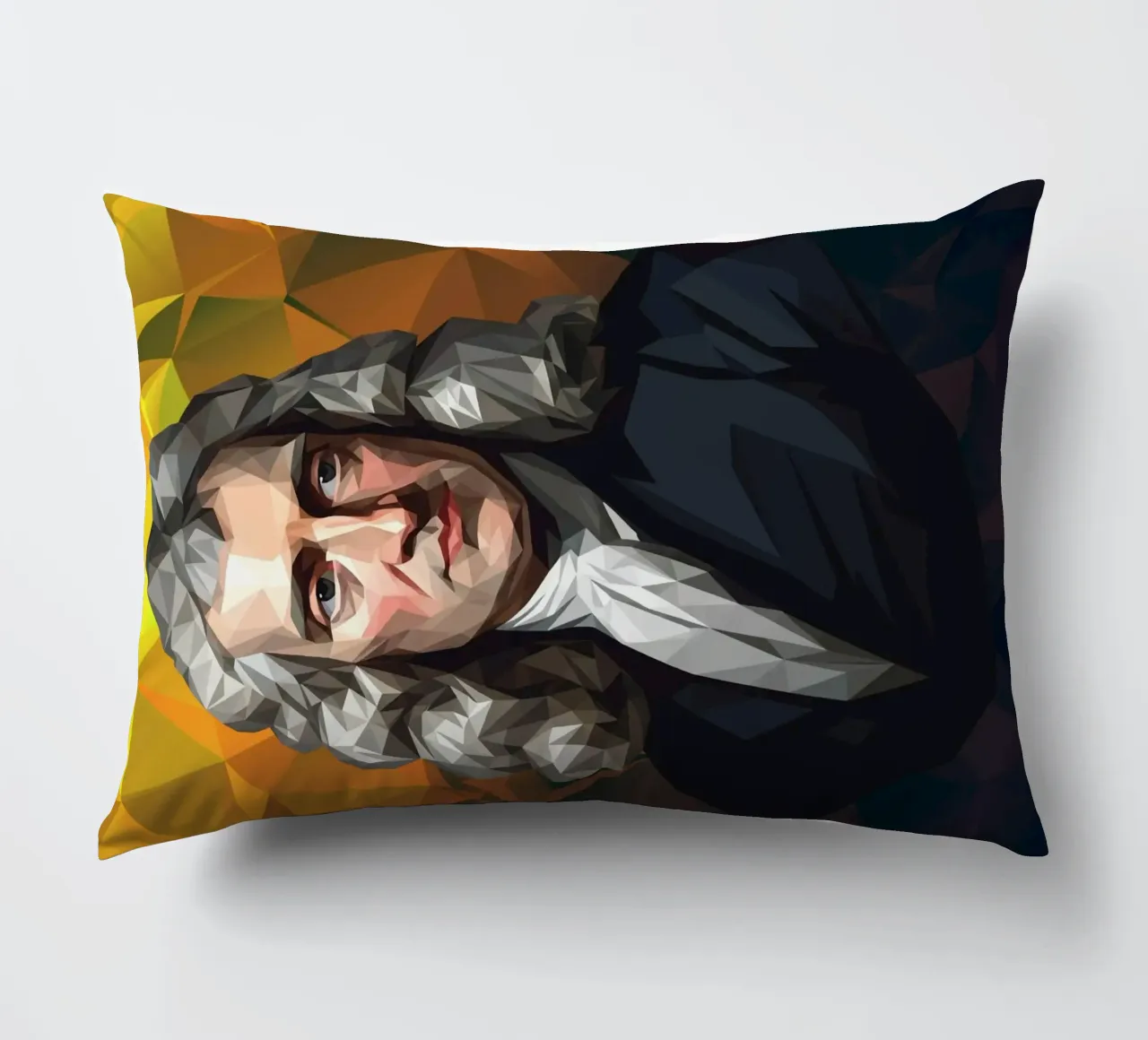 Ritratto di Isaac Newton Lowpoly cuscino da Low Profile