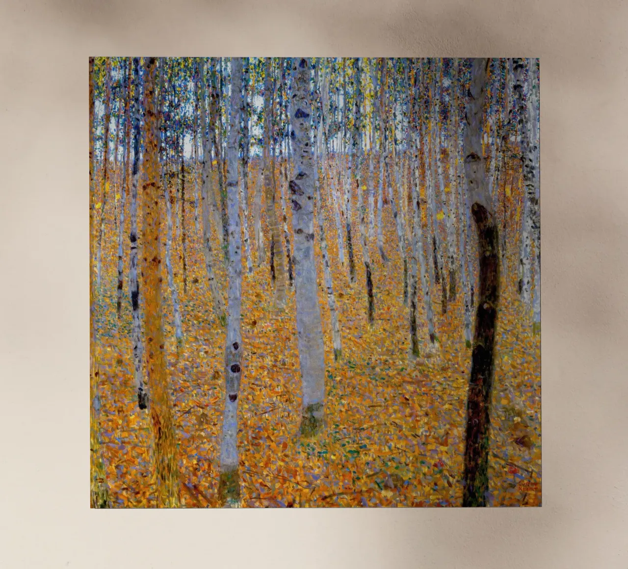 Beech Grove I pellicola backlit da Roy Terrell