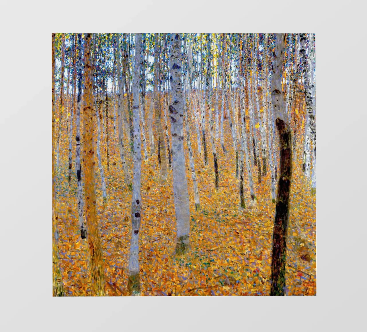 Beech Grove I pellicola backlit da Roy Terrell