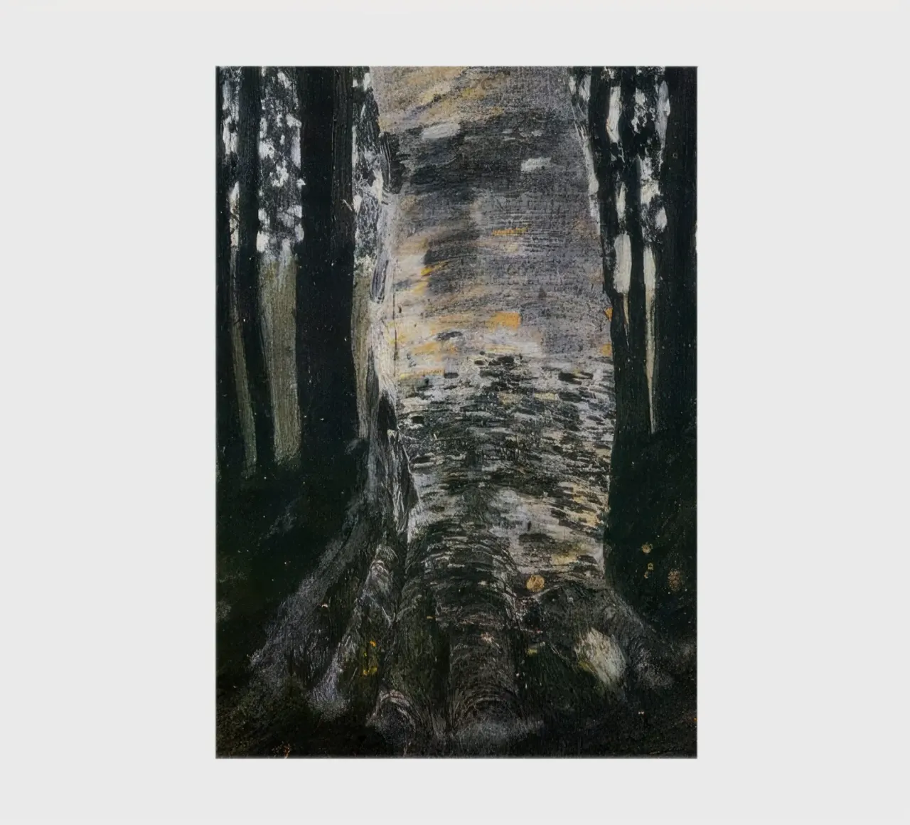 Birch in a Forest, 1903 notebook by Roy Terrell